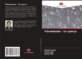 Fibroblastes - Un aperçu