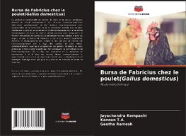 Bursa de Fabricius chez le poulet(Gallus domesticus)