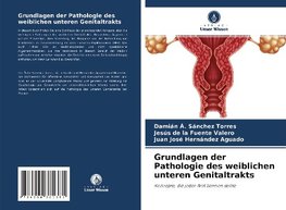 Grundlagen der Pathologie des weiblichen unteren Genitaltrakts