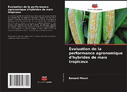 Évaluation de la performance agronomique d'hybrides de maïs tropicaux