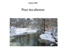 Pour tes silences