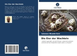 Die Eier der Wachteln