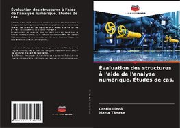 Évaluation des structures à l'aide de l'analyse numérique. Études de cas.