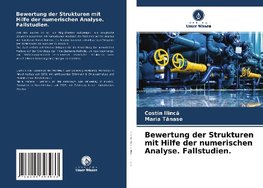 Bewertung der Strukturen mit Hilfe der numerischen Analyse. Fallstudien.