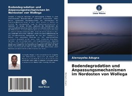 Bodendegradation und Anpassungsmechanismen im Nordosten von Wollega