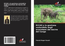 ECCAS e la gestione sostenibile degli ecosistemi del bacino del Congo