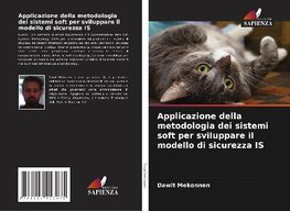 Applicazione della metodologia dei sistemi soft per sviluppare il modello di sicurezza IS