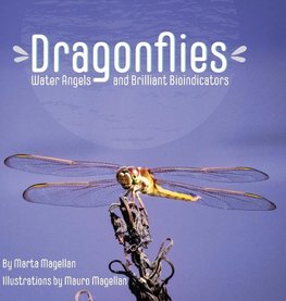 Dragonflies