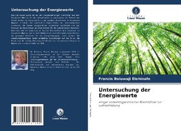 Untersuchung der Energiewerte