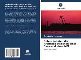 Determinanten der Arbitrage zwischen einer Bank und einer MFI