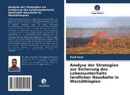 Analyse der Strategien zur Sicherung des Lebensunterhalts ländlicher Haushalte in Westäthiopien