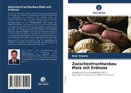 Zwischenfruchtanbau Mais mit Erdnuss