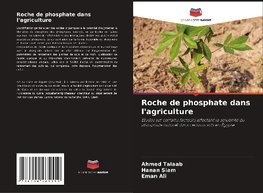 Roche de phosphate dans l'agriculture