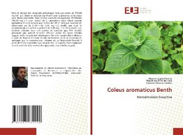 Coleus aromaticus Benth