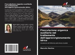 Flocculazione organica ausiliaria nel trattamento dell'approvvigionamento idrico