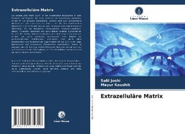 Extrazelluläre Matrix