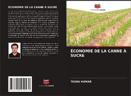 ÉCONOMIE DE LA CANNE À SUCRE