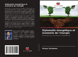 Diplomatie énergétique et économie de l'énergie