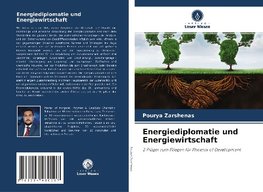 Energiediplomatie und Energiewirtschaft