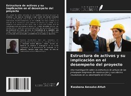 Estructura de activos y su implicación en el desempeño del proyecto