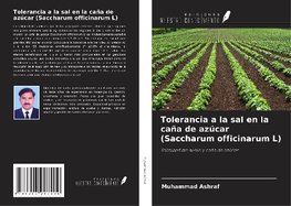 Tolerancia a la sal en la caña de azúcar (Saccharum officinarum L)