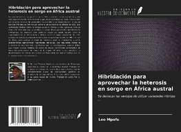 Hibridación para aprovechar la heterosis en sorgo en África austral