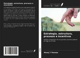 Estrategia, estructura, procesos e incentivos