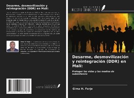 Desarme, desmovilización y reintegración (DDR) en Malí: