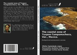 The coastal zone of Tuxpan-Tampamachoco, Ver., Mexico.