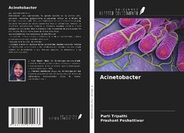 Acinetobacter