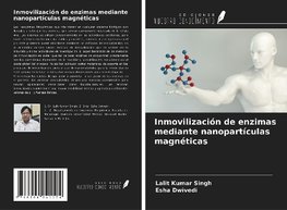 Inmovilización de enzimas mediante nanopartículas magnéticas