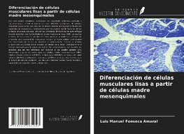 Diferenciación de células musculares lisas a partir de células madre mesenquimales