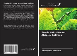 Estrés del cobre en Atriplex halimus