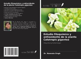 Estudio fitoquímico y antioxidante de la planta Calotropis gigantea