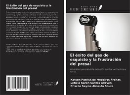 El éxito del gas de esquisto y la frustración del presal