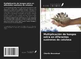 Multiplicación de hongos ostra en diferentes sustratos de celulosa