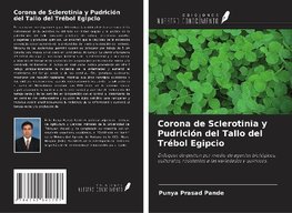 Corona de Sclerotinia y Pudrición del Tallo del Trébol Egipcio