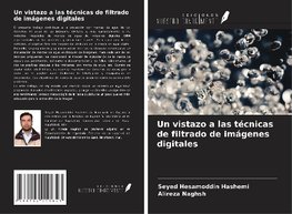 Un vistazo a las técnicas de filtrado de imágenes digitales