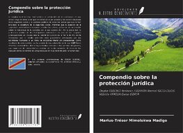 Compendio sobre la protección jurídica