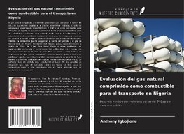 Evaluación del gas natural comprimido como combustible para el transporte en Nigeria