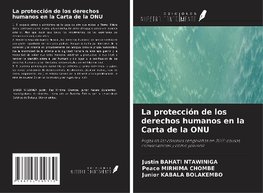 La protección de los derechos humanos en la Carta de la ONU