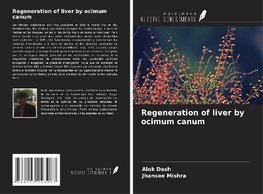 Regeneration of liver by ocimum canum