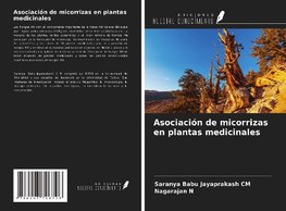 Asociación de micorrizas en plantas medicinales