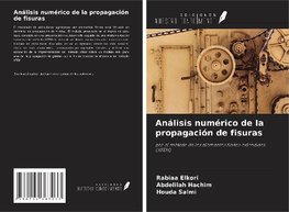 Análisis numérico de la propagación de fisuras