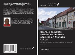 Drenaje de aguas residuales de fosas sépticas en Niangon Lokoa