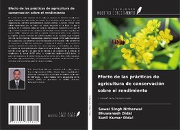 Efecto de las prácticas de agricultura de conservación sobre el rendimiento