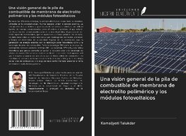 Una visión general de la pila de combustible de membrana de electrolito polimérico y los módulos fotovoltaicos