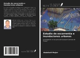 Estudio de escorrentía e inundaciones urbanas