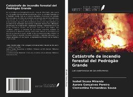 Catástrofe de incendio forestal del Pedrógão Grande