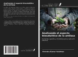 Analizando el aspecto biocatalítico de la amilasa